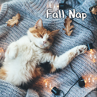 Fall Nap Theme