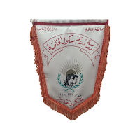مدرسة دريم سكول الخاصة