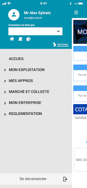 CEA Loulay Screenshot 2