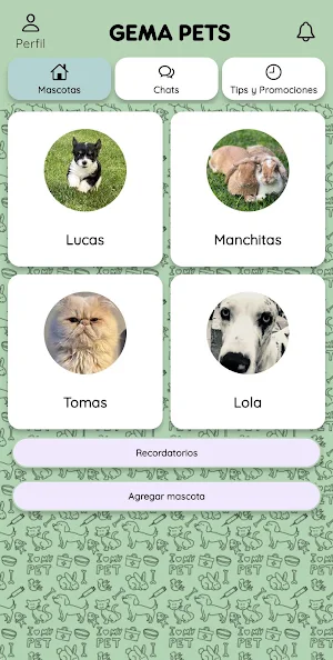 GEMA PETS PACIENTES Screenshot 1