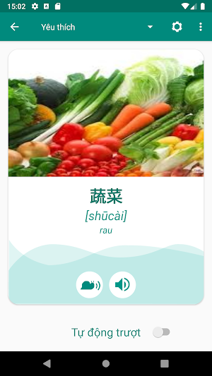 Vietnamese French Dictionary Screenshot 2