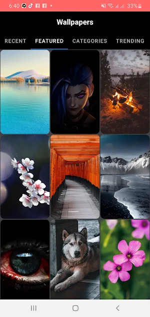 HD Wallpapers Screenshot 1