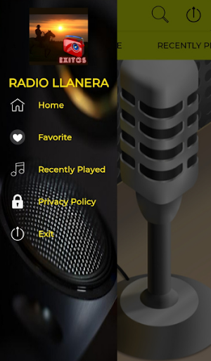 Musica Llanera Radio Llaneras Screenshot 3