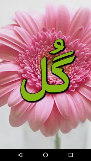 Gull by Seema Shahid - Urdu Novel Offline Screenshot 0