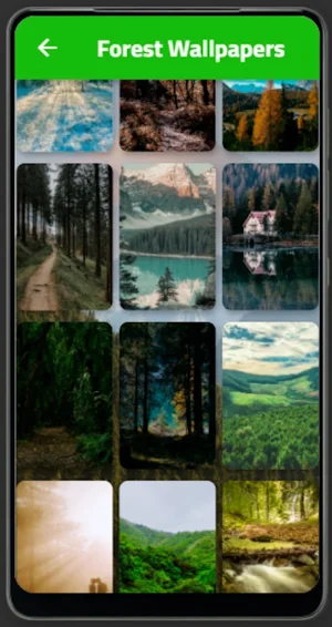 Forest Wallpapers Screenshot 2