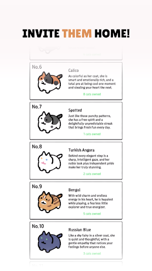 Arrows & Cats Screenshot 1