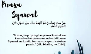 Tuntunan Puasa Sunnah Syawal Screenshot 0