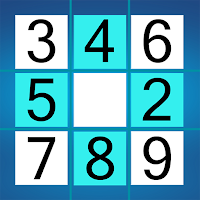 Sudoku Mastermind Puzzles