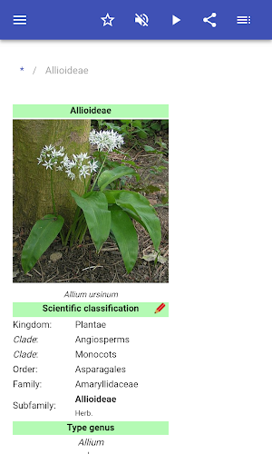 Botanical families Screenshot 1