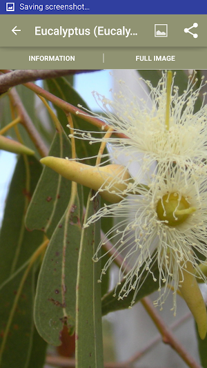 Medicinal Plants Paid Screenshot 1