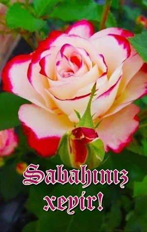 Sabahınız xeyir! Screenshot 3