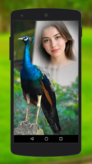 Peacock Photo Frames Screenshot 2