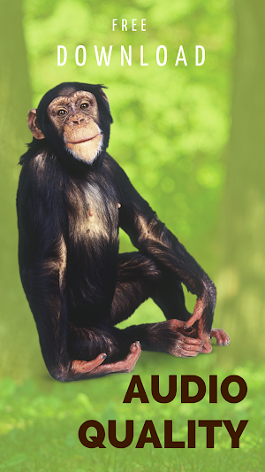 Monkey sound screenshot 4