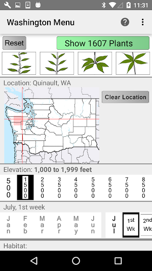 Washington Wildflower Search Screenshot 1