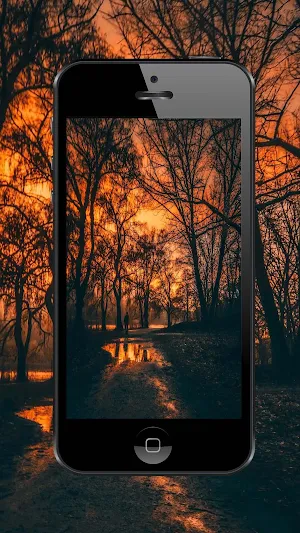 Forest Wallpapers and Backgrounds Screenshot 0