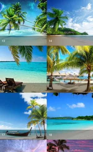 Tropical Wallpaper Screenshot 3