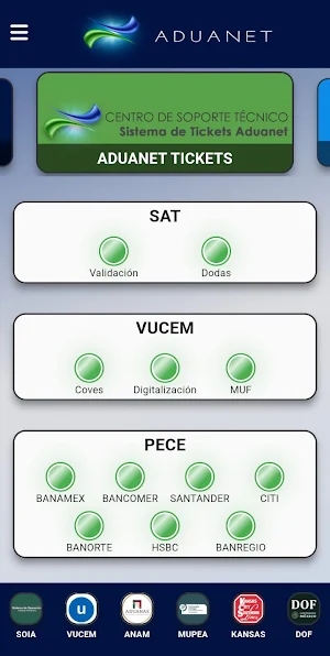 Aduanet Screenshot 1