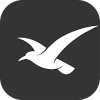 Seagull