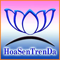 HSTD app