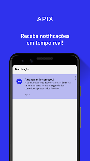 API Experience Screenshot 3
