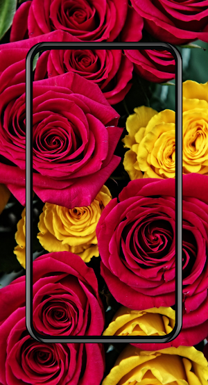 Flowers Wallpaper Screenshot 0