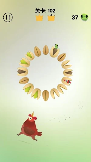 Crazy Pigeon‌ 2 Screenshot 1