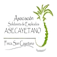 ASECAYETANO