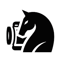 ChessCam