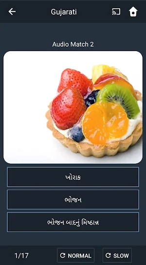 Learn Gujarati. Speak Gujarati. Study Gujarati. Screenshot 2