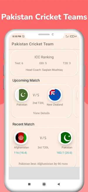 PAK VS NZ - Live Cricket Score Screenshot 2