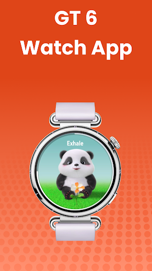 Huawei Watch GT 6 App Screenshot 2