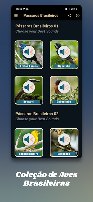Sons de Pássaros Brasileiros Screenshot 1