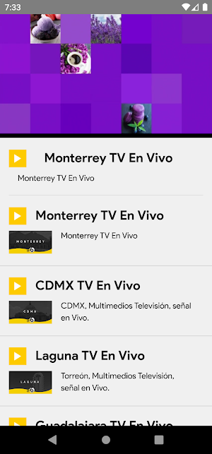Canal 6 Screenshot 3