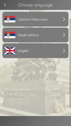 Spomenik oslobodiocima Niša Screenshot 3