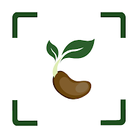 Seed Count