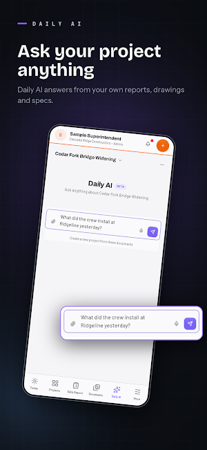 DailyBuild: Daily Site Reports Screenshot 2