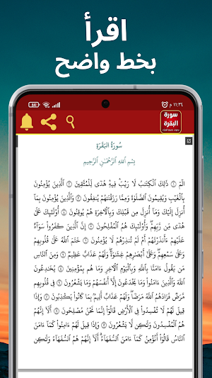 سورة البقرة كاملة: جميع القراء Screenshot 2