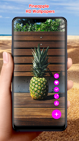 Pineapple HD Wallpapers Screenshot 1