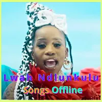 Lwah Ndlunkulu Songs Offline