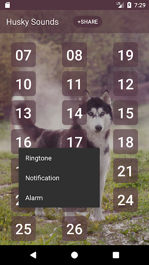 Siberian Husky Dog Sounds Screenshot 1