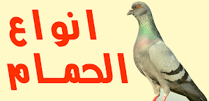 أنواع الحمام Screenshot 0