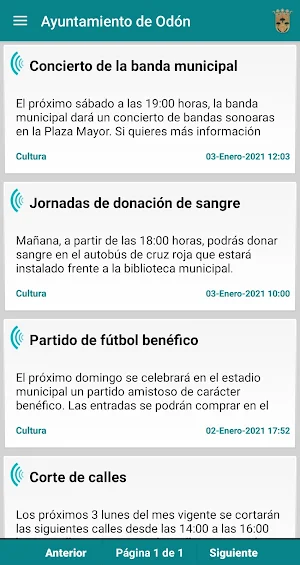 Ayuntamiento de Odón Screenshot 1