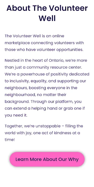 The Volunteer Well Screenshot 1