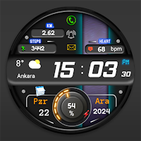FSW278 Digital Watch face