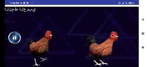 رقصة واغنية الدجاجة بدون نت Screenshot 1
