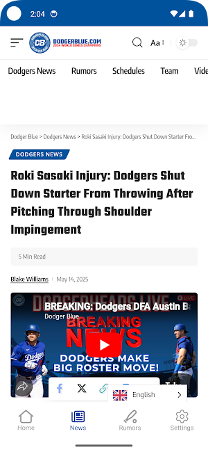 DodgerBlue.com Screenshot 2