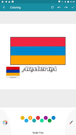 color the country's flag Screenshot 1