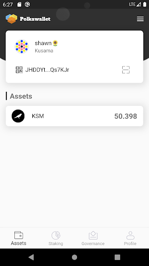 Polkawallet Screenshot 0