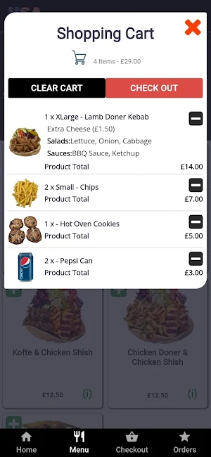 USA Kebab Pizza Bargoed Screenshot 0