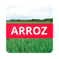 Doenças do Arroz